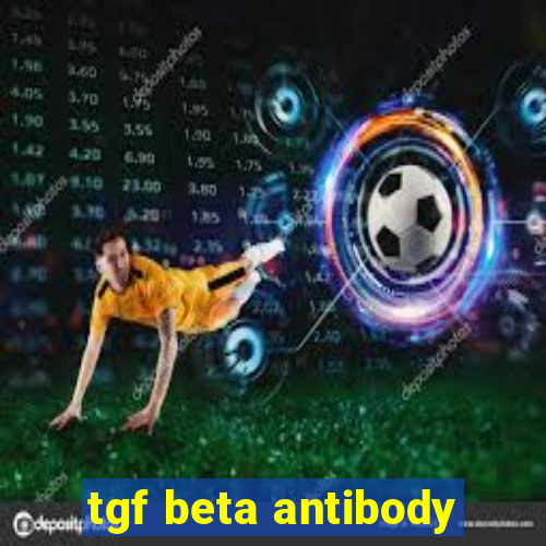 tgf beta antibody