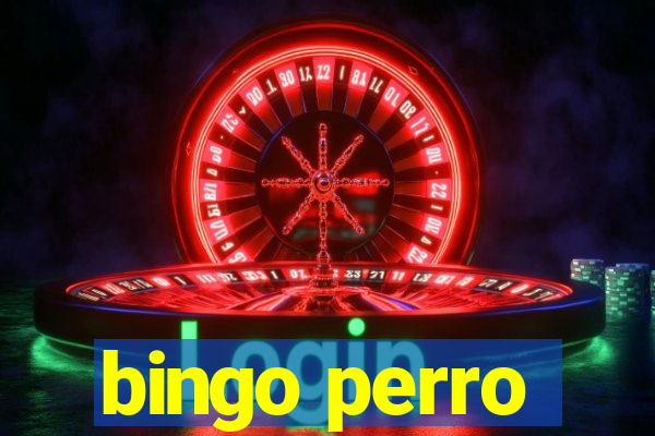 bingo perro