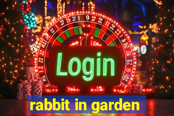 rabbit in garden