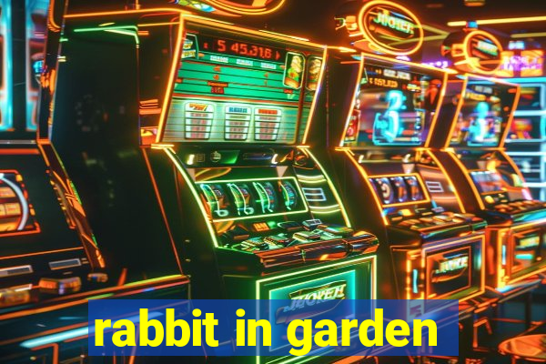 rabbit in garden