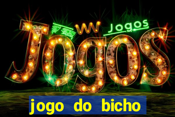 jogo do bicho crash bingo