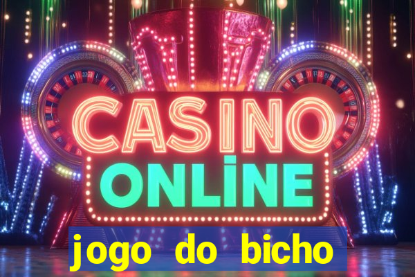 jogo do bicho crash bingo