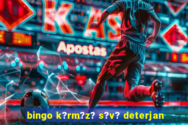 bingo k?rm?z? s?v? deterjan