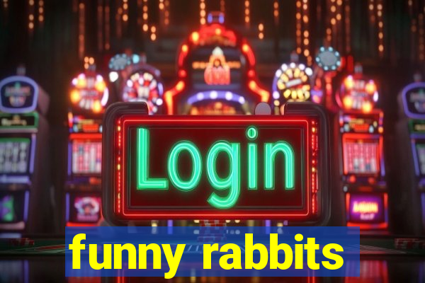 funny rabbits