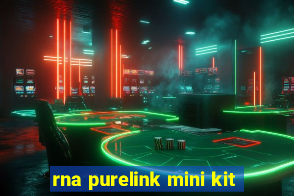 rna purelink mini kit