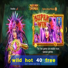 wild hot 40 free spins slot