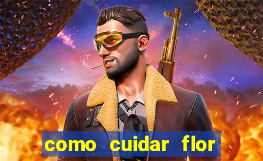 como cuidar flor da fortuna