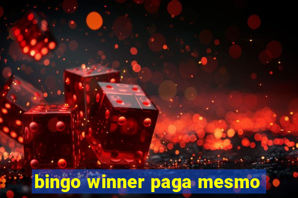 bingo winner paga mesmo