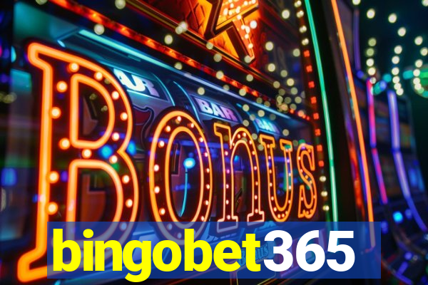 bingobet365