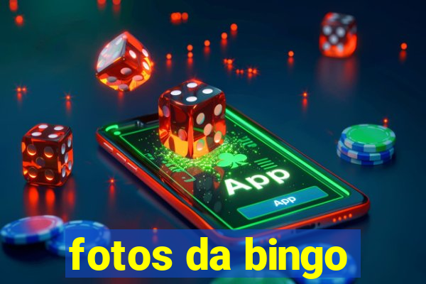 fotos da bingo