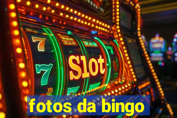 fotos da bingo