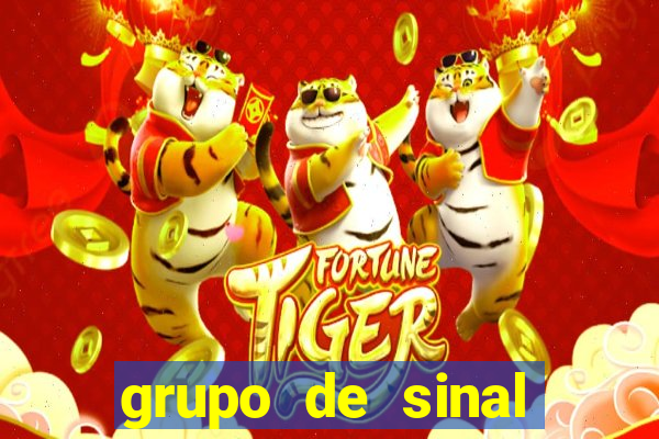 grupo de sinal fortune tiger