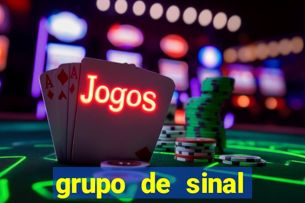 grupo de sinal fortune tiger