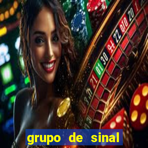 grupo de sinal fortune tiger