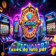 fases do luto pdf