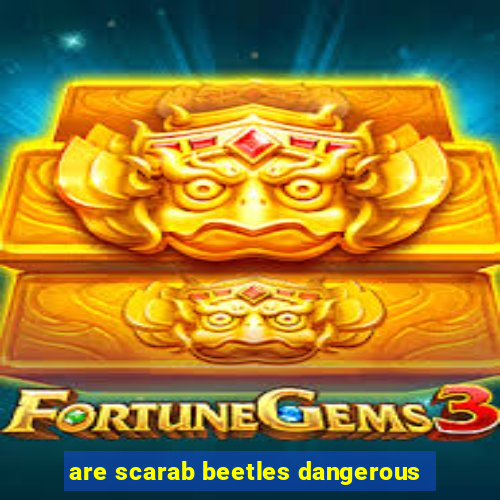 are scarab beetles dangerous