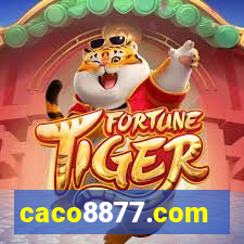 caco8877.com