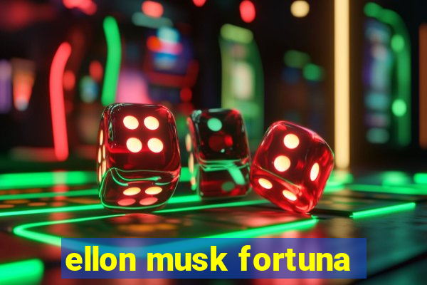 ellon musk fortuna