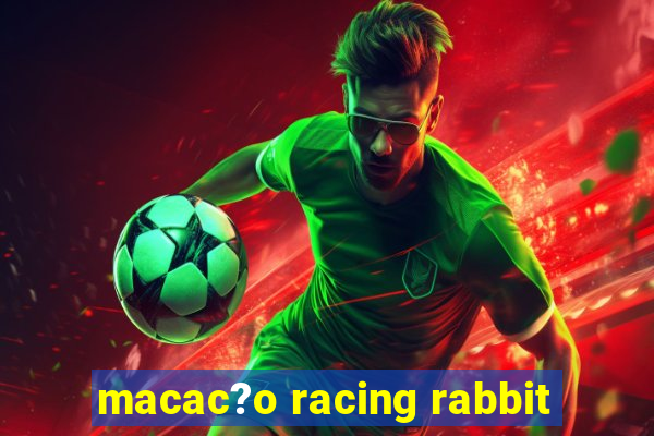 macac?o racing rabbit