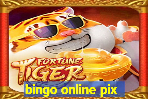 bingo online pix