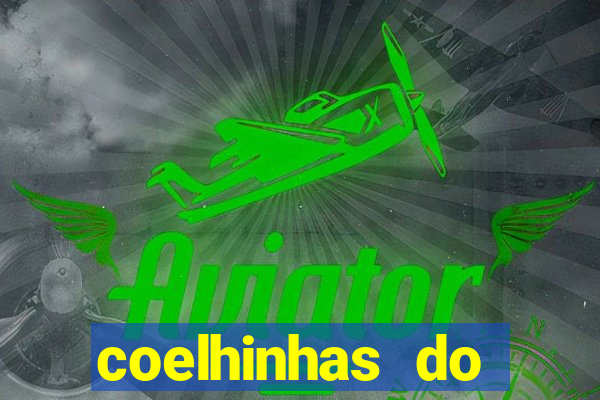 coelhinhas do brasil site