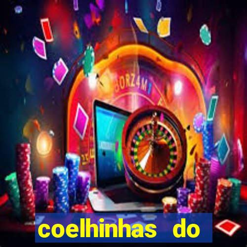 coelhinhas do brasil site