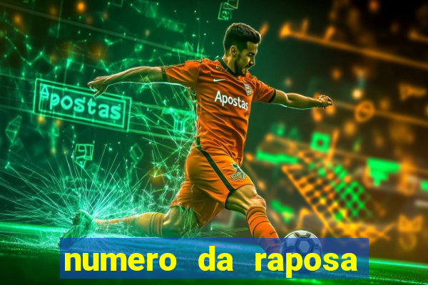 numero da raposa jogo do bicho