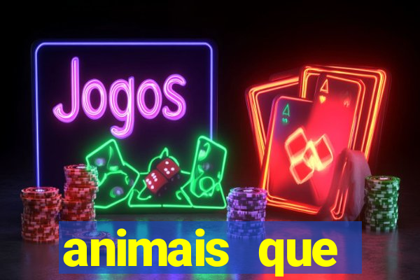 animais que produzem l茫