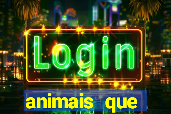 animais que produzem l茫