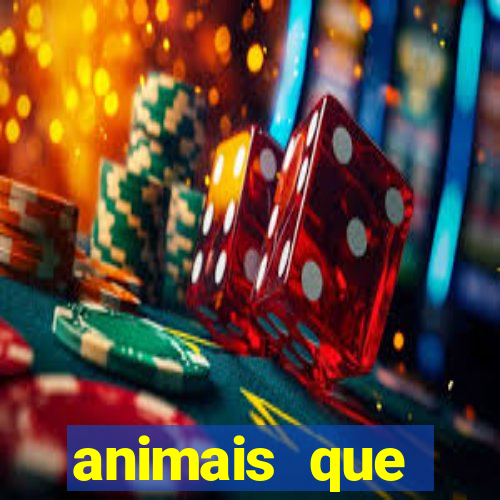 animais que produzem l茫