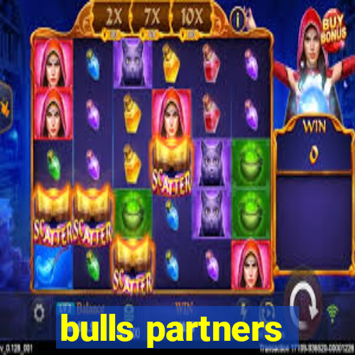 bulls partners