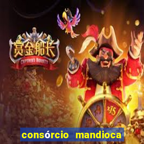 consórcio mandioca e milho