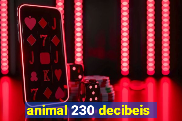 animal 230 decibeis