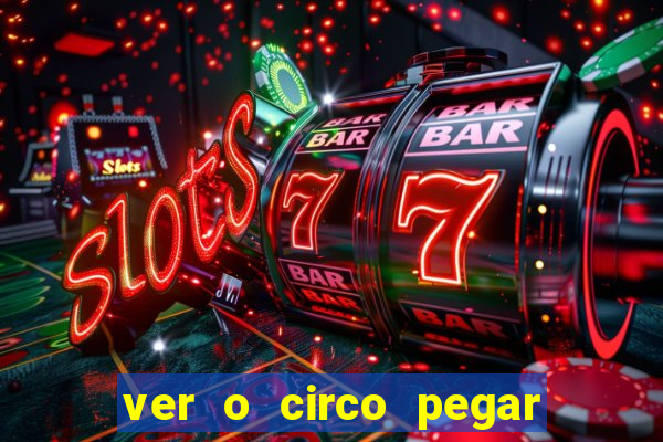 ver o circo pegar fogo significado