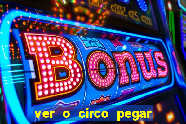 ver o circo pegar fogo significado