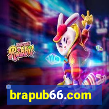 brapub66.com