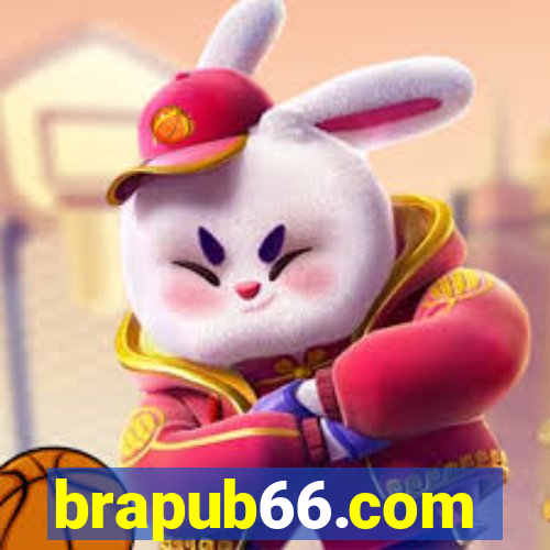 brapub66.com