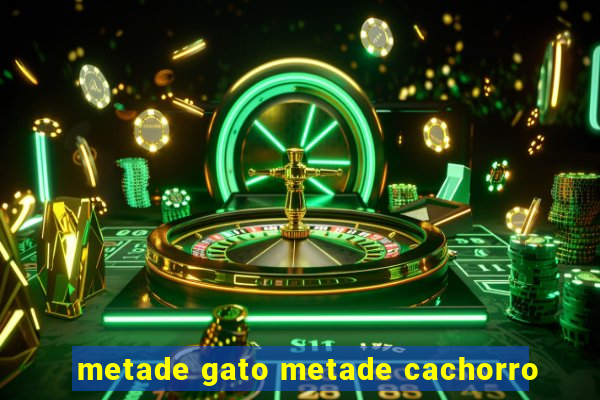 metade gato metade cachorro