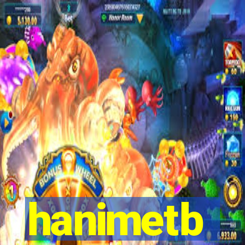 hanimetb