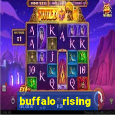 buffalo rising megaways slots