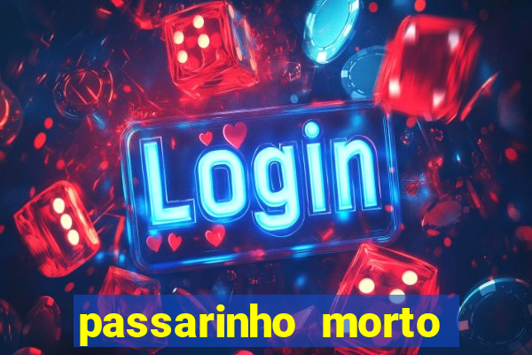 passarinho morto significado espiritual