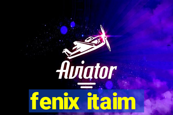 fenix itaim