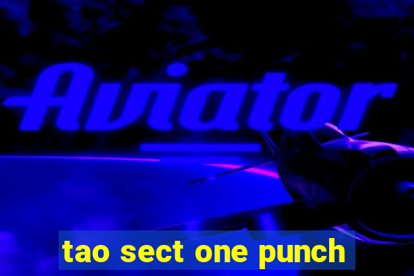 tao sect one punch