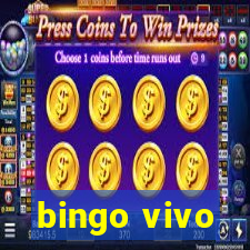 bingo vivo