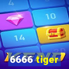 6666 tiger