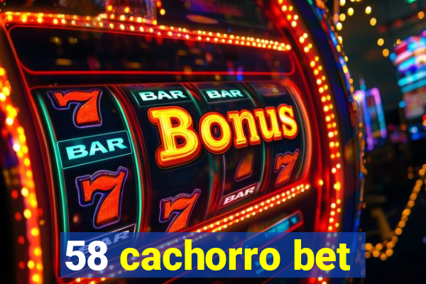 58 cachorro bet