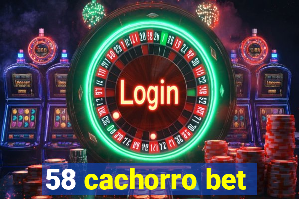 58 cachorro bet