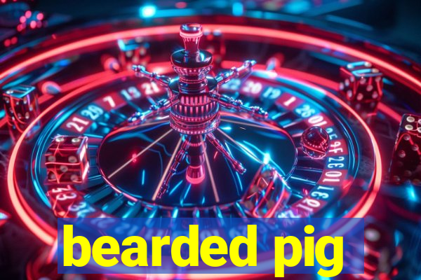 bearded pig