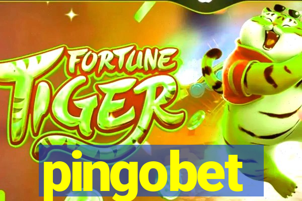 pingobet