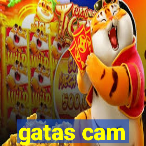 gatas cam